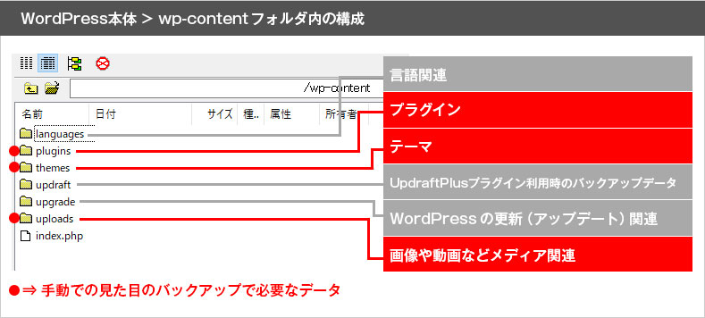 Wordpress本体の中に保存されている見た目に関するデータは「wp-contentフォルダ」の中にあるplugin（プラグイン）・theme（テーマ）・uploads（メディア内のデータ）